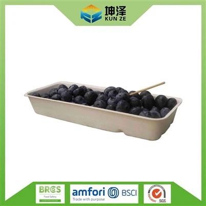 ブルーベリーのパンネット