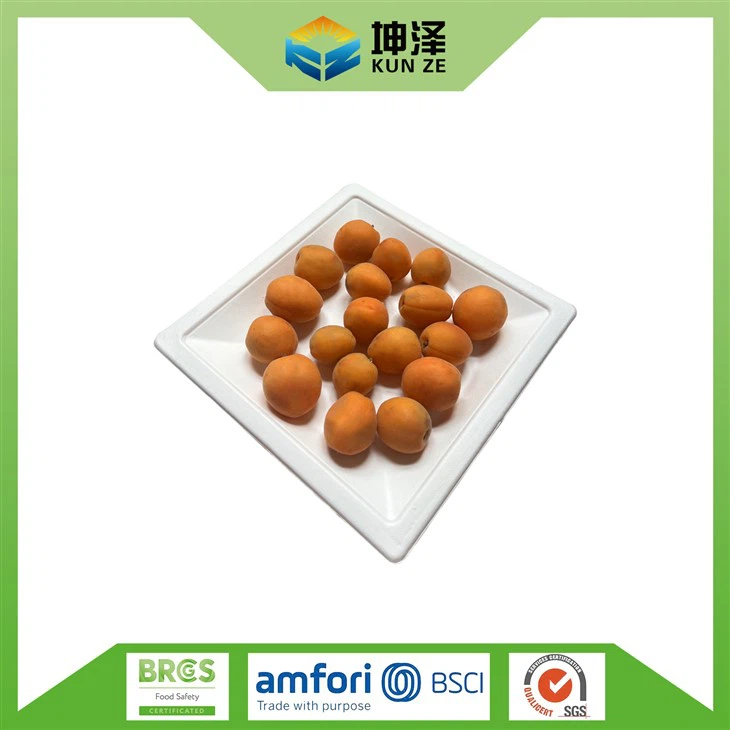 堆肥化可能な角型プレート