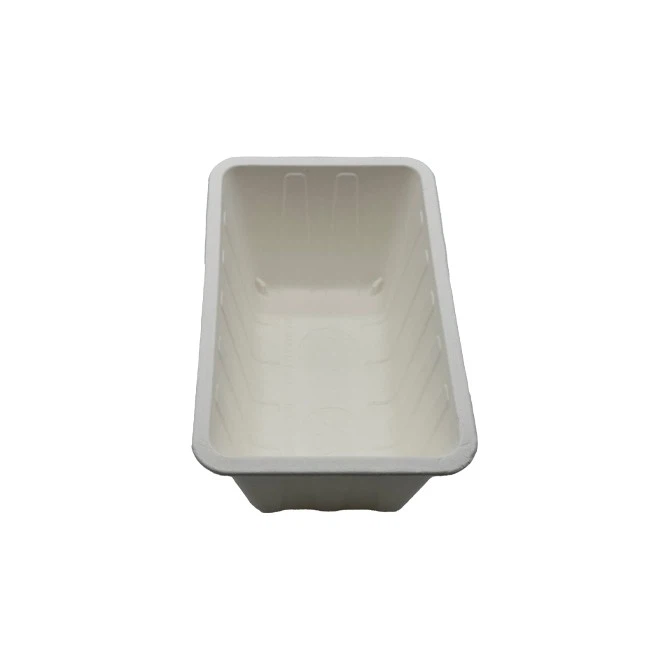 Biodegradable Fruit Container