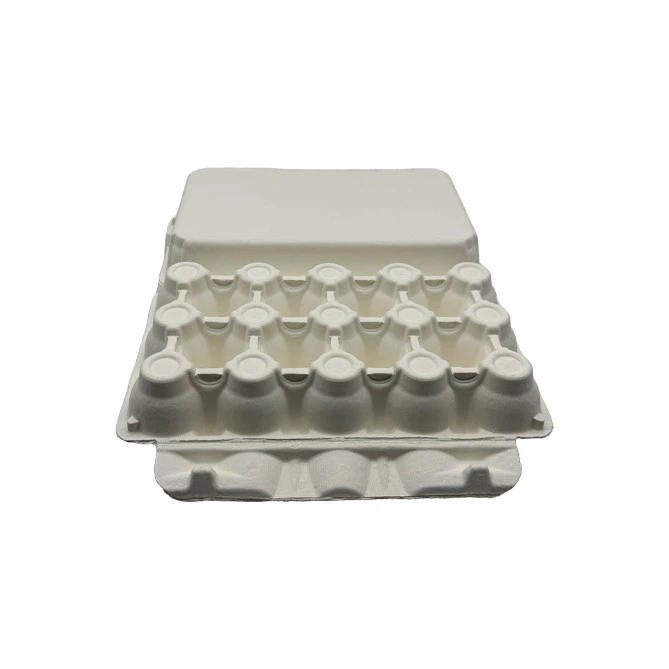 Egg Carton Boxes