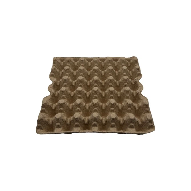 Egg Carton Tray