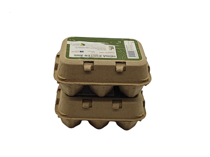 Pain Egg Cartons