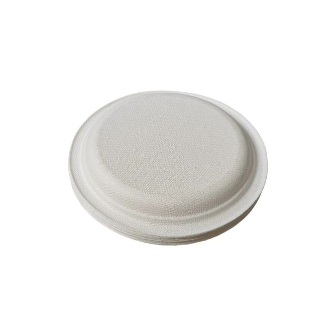 Paper Plate