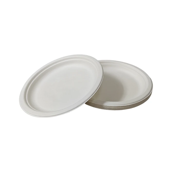 Paper Plate
