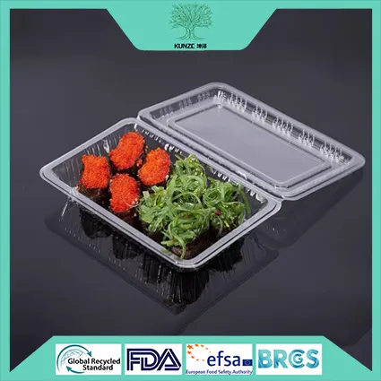 Plastic Sushi Container