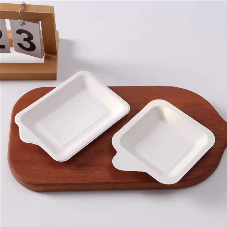 Sugarcane Packaging Trays